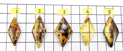 Fossil Amber Rhombus Shape Cabochons