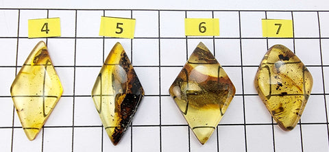 Fossil Amber Rhombus Shape Cabochons