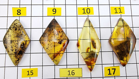 Fossil Amber Rhombus Shape Cabochons