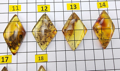 Fossil Amber Rhombus Shape Cabochons