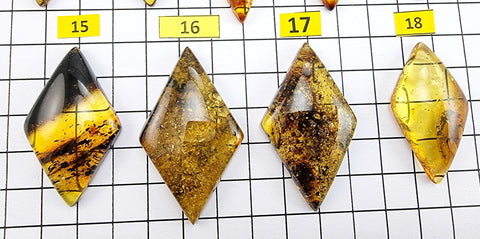 Fossil Amber Rhombus Shape Cabochons