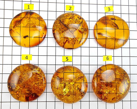 Cognac Amber Free Shape Round Cabochons