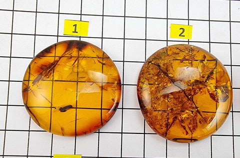 Cognac Amber Free Shape Round Cabochons