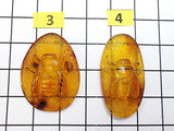 Cognac Amber Carved Bee On Honeycomb Cognac Cabochon