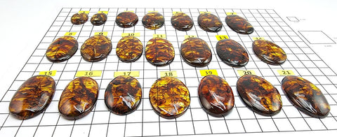 Cognac Amber Free Shape Cabochons