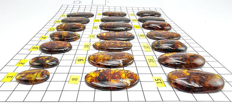 Cognac Amber Free Shape Cabochons