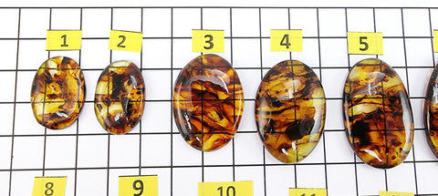 Cognac Amber Free Shape Cabochons