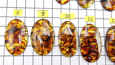 Cognac Amber Free Shape Cabochons