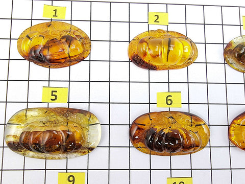 Fossil Amber Carved Pumpkin Cabochons