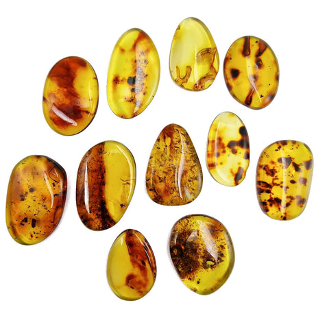 Fossil Amber Free Shape Cabochons