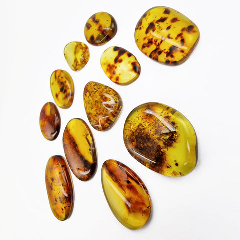 Fossil Amber Free Shape Cabochons