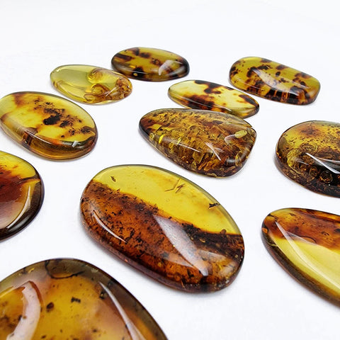 Fossil Amber Free Shape Cabochons