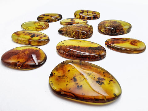 Fossil Amber Free Shape Cabochons