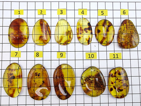 Fossil Amber Free Shape Cabochons