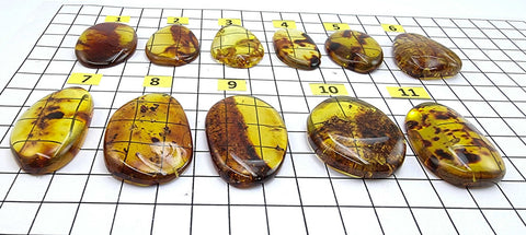 Fossil Amber Free Shape Cabochons