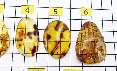 Fossil Amber Free Shape Cabochons