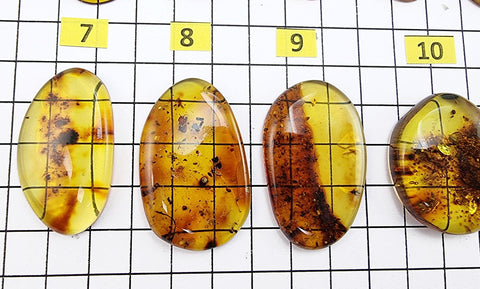 Fossil Amber Free Shape Cabochons