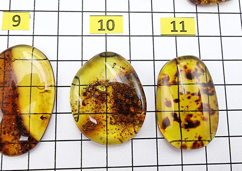 Fossil Amber Free Shape Cabochons