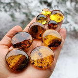 Fossil Amber Free Shape Round Cabochons