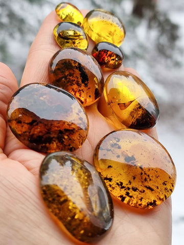 Fossil Amber Round Free Shape Cabochons