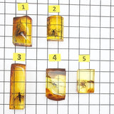 Natural Amber Rectangular Shape Cabochons With Insects