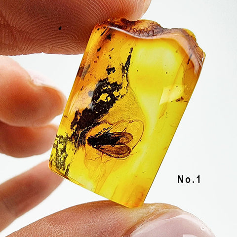 Natural Amber Rectangular Shape Cabochons With Insects