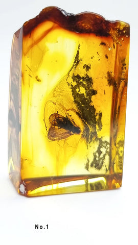 Natural Amber Rectangular Shape Cabochons With Insects