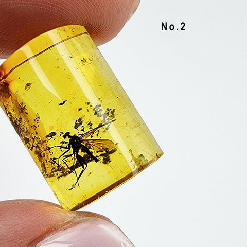 Natural Amber Rectangular Shape Cabochons With Insects