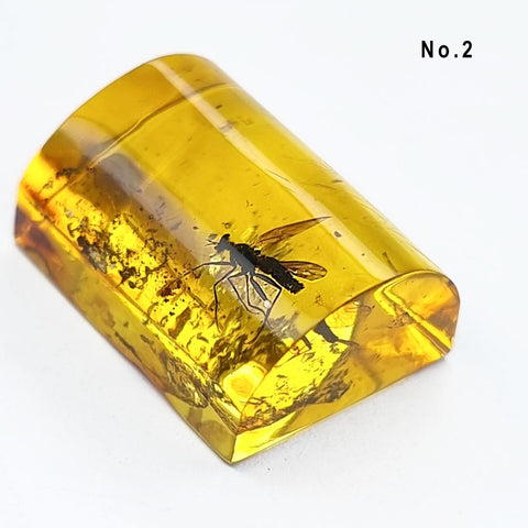 Natural Amber Rectangular Shape Cabochons With Insects