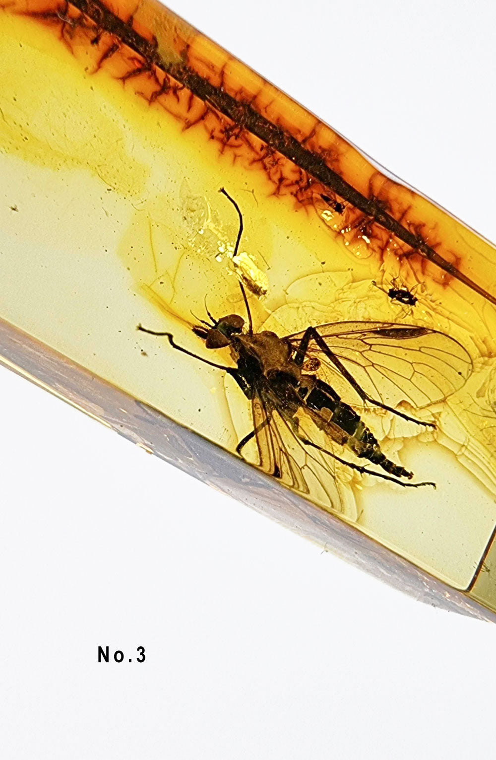 Warm Color Insect Rectangular Light Natural Amber Rectangular Shape Cabochons With Insects – Amber Alex Jewelry