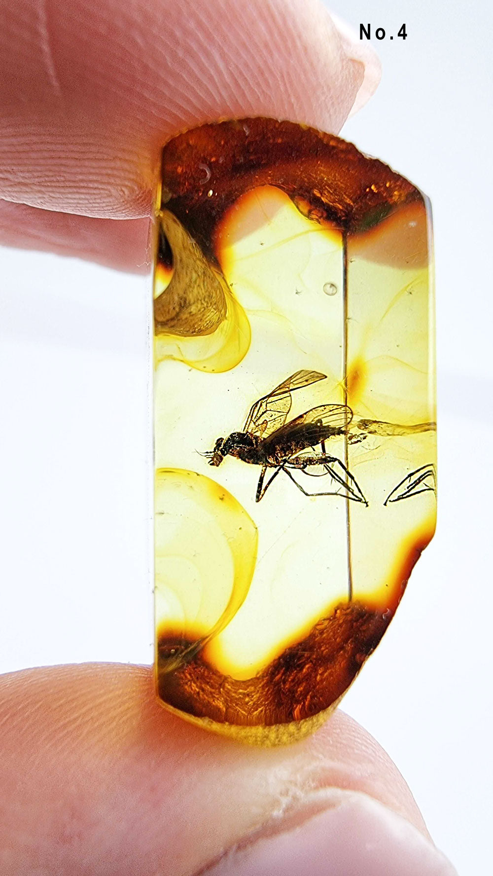 Insect Rectangle Shape Natural Amber Rectangular Shape Cabochons With Insects – Amber Alex Jewelry