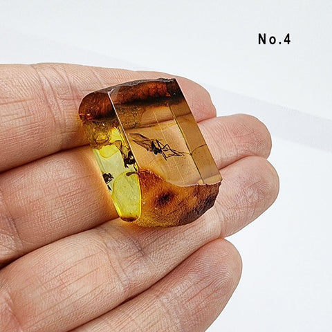 Natural Amber Rectangular Shape Cabochons With Insects