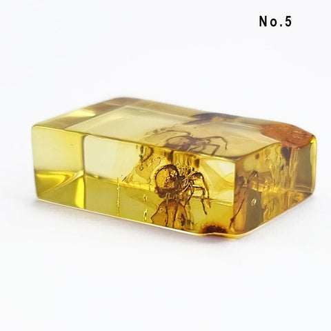 Natural Amber Rectangular Shape Cabochons With Insects