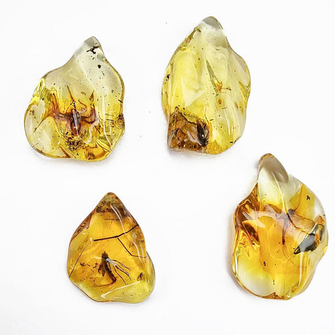 Natural Amber Wave Shape Stone With Insects