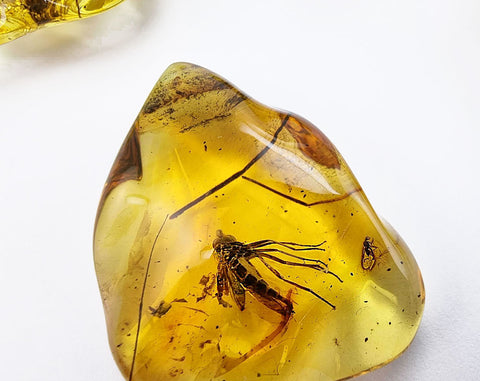 Natural Amber Wave Shape Stone With Insects