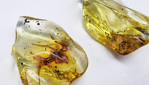 Natural Amber Wave Shape Stone With Insects