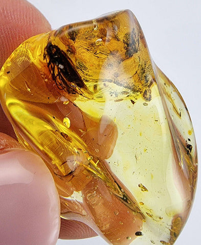 Natural Amber Wave Shape Stone With Insects