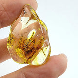 Natural Amber Wave Shape Stone With Insects