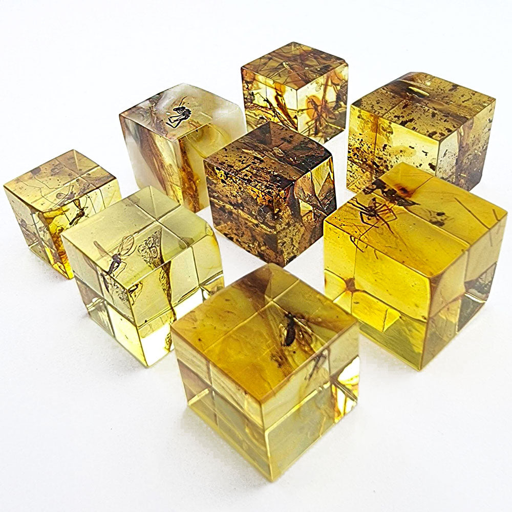 Natural Amber Cube Shape Cabochons With Insects