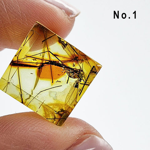 Natural Amber Cube Shape Cabochons With Insects