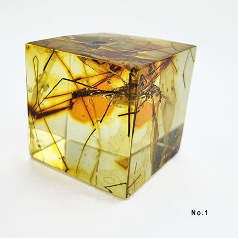 Natural Amber Cube Shape Cabochons With Insects