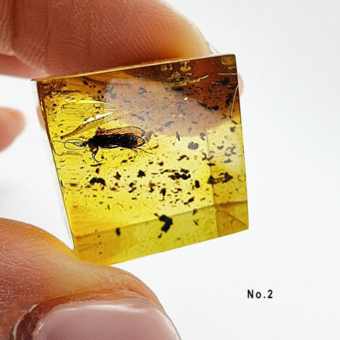 Natural Amber Cube Shape Cabochons With Insects