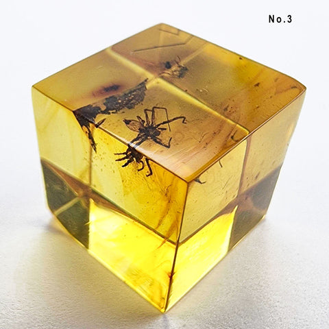 Natural Amber Cube Shape Cabochons With Insects