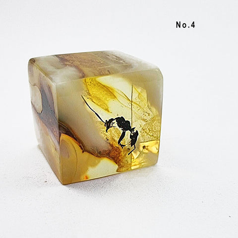 Natural Amber Cube Shape Cabochons With Insects