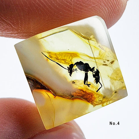 Natural Amber Cube Shape Cabochons With Insects