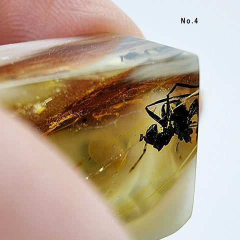 Natural Amber Cube Shape Cabochons With Insects