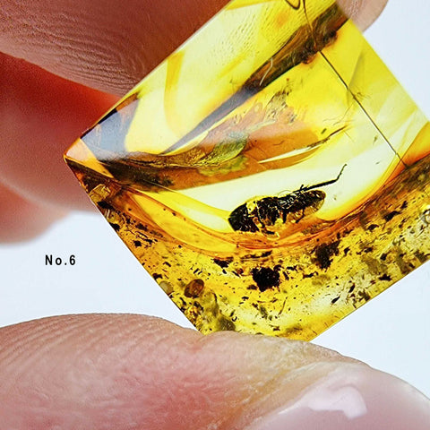 Natural Amber Cube Shape Cabochons With Insects