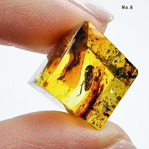 Natural Amber Cube Shape Cabochons With Insects