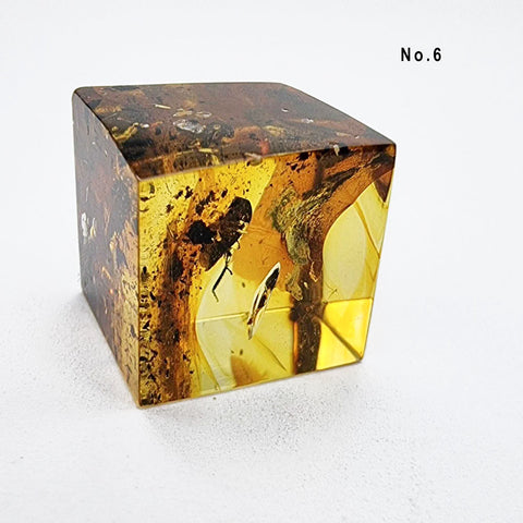 Natural Amber Cube Shape Cabochons With Insects