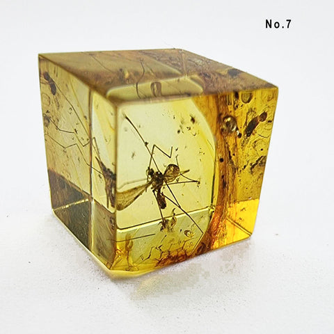 Natural Amber Cube Shape Cabochons With Insects